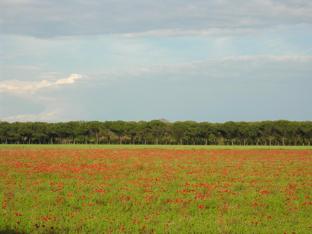 Appartamento Riviera Bibione Eksteriør bilde